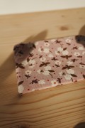 DSC02550.JPG