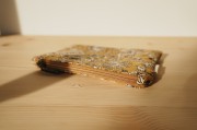 DSC02528.JPG